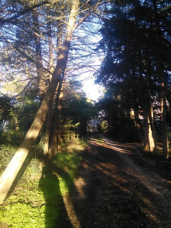 Nature Houses Lagos Dış mekan fotoğraf