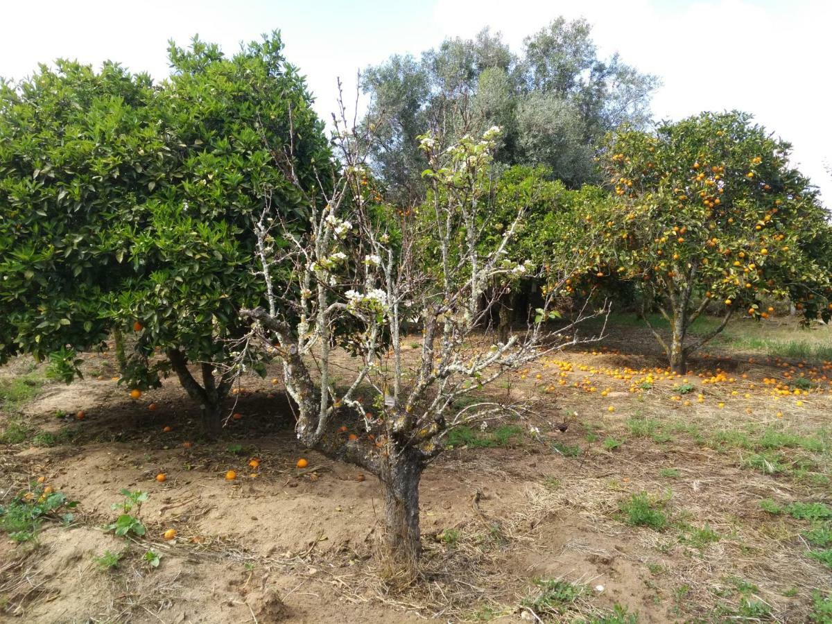 Nature Houses Lagos Dış mekan fotoğraf